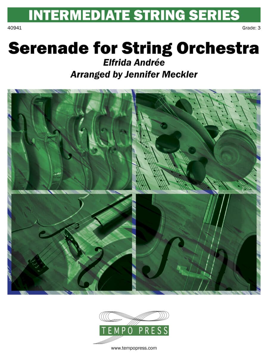 Serenade for String Orchestra: Movement III